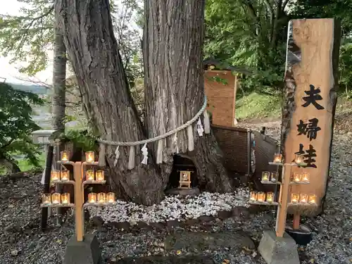 浦幌神社・乳神神社の自然
