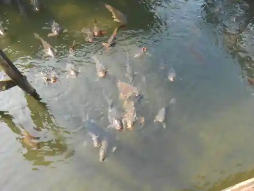 早水神社(宮崎県)