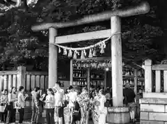 川越氷川神社の鳥居