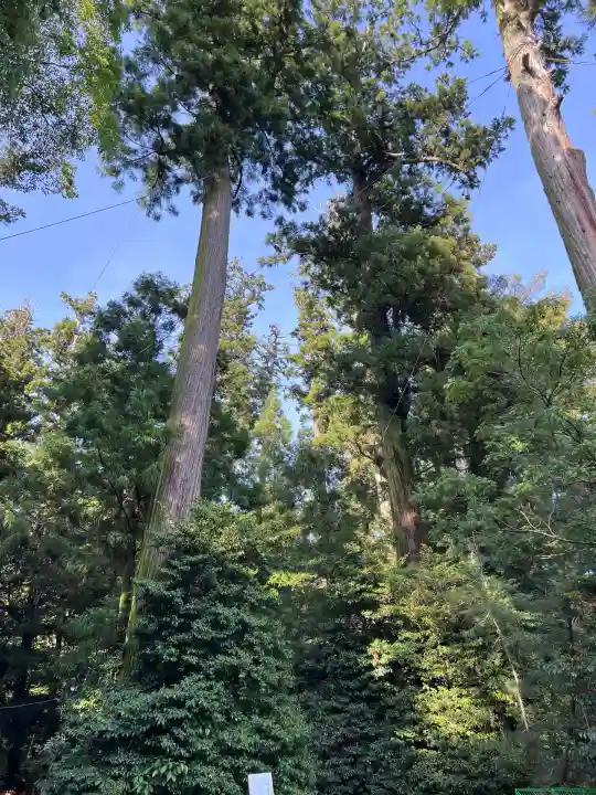 香取神宮(千葉県)