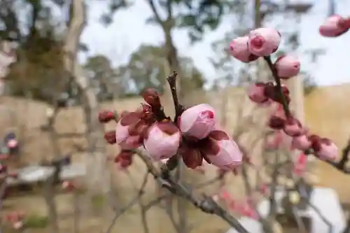菅原天満宮（菅原神社）の自然