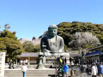 高徳院の仏像