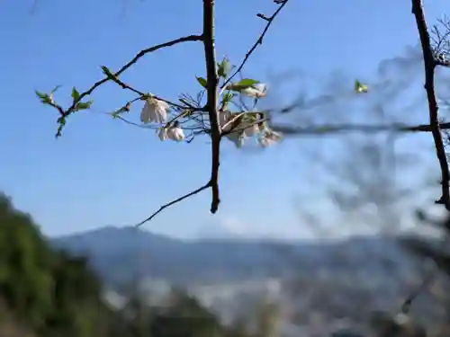静岡浅間神社の自然