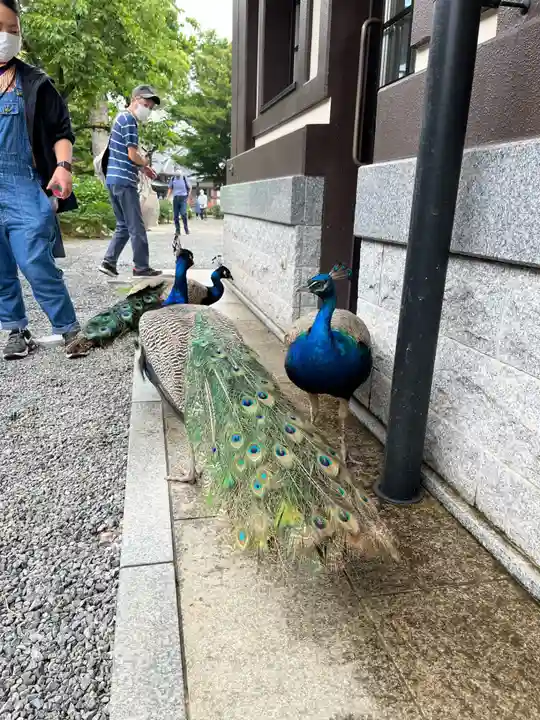 楽法寺(雨引観音)(茨城県)