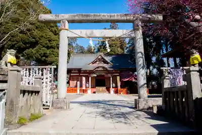 大前神社の鳥居