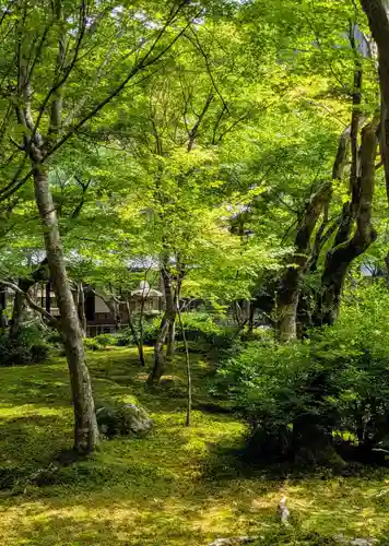 圓光寺(京都府)