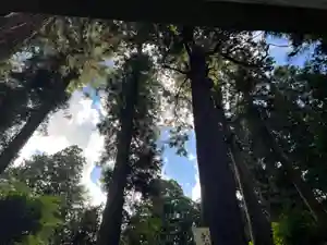 大宮温泉神社(栃木県)(2023年08月07日(月) 08時13分23秒投稿)