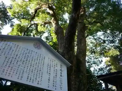 久能山東照宮のその他建物