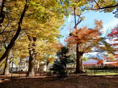 墨坂神社(長野県)