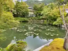 禅林寺（永観堂）(京都府)