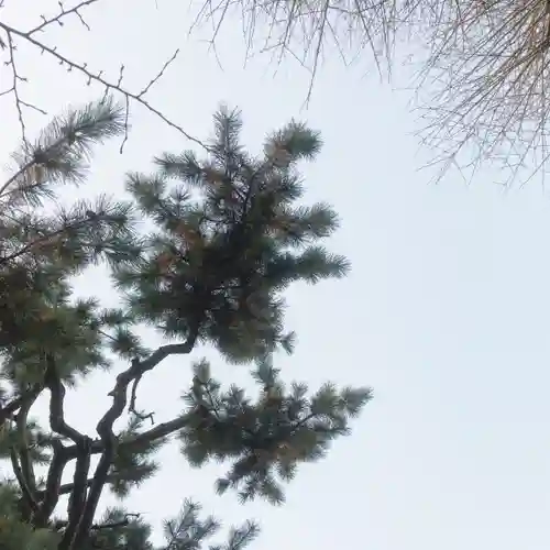 利田神社の自然