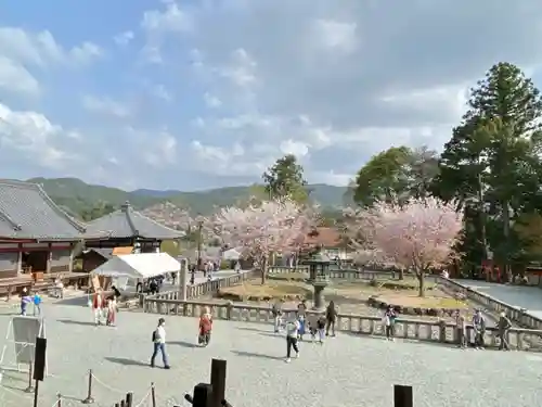 金峯山寺の庭園