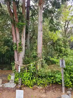 鏡神社(佐賀県)