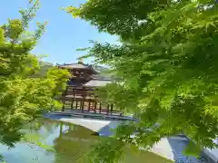 平等院の建物その他