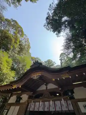 狭井坐大神荒魂神社(狭井神社)の{uncategorized: "未分類", other: "その他", undefined: "問題あり", building: "その他建物", grave: "お墓", sacred_gate: "鳥居", guardian: "狛犬", statue: "像", buddha: "仏像", history: "歴史", nature: "自然", garden: "庭園", animal: "動物", pagoda: "塔", temizu: "手水舎", mountain_gate: "山門・神門", sanctuary: "本殿・本堂", subordinate: "末社・摂社", art: "芸術", scenery: "景色", jizo: "地蔵", ema: "絵馬", goshuin: "御朱印", omikuji: "おみくじ", items: "授与品その他", amulet: "お守り", goshuincho: "御朱印帳", eats: "食事", festival: "お祭り", votive_dance: "神楽", shichigosan: "七五三参", wedding: "結婚式", experience: "体験その他", initially: "初詣", around: "周辺", anti_infection: "感染症対策"}