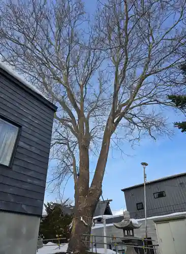 龍宮神社(北海道)