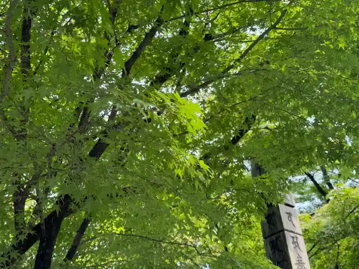 西方山極楽寺(岐阜県)