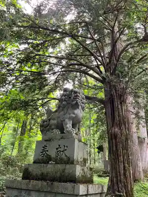 戸隠神社奥社の狛犬