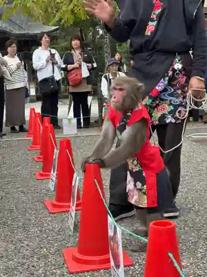 笠間稲荷神社(茨城県)