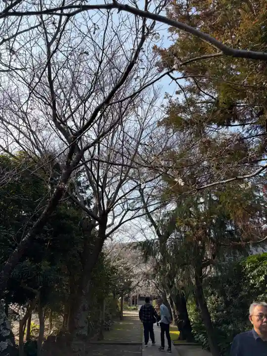 極楽寺(霊鷲山感應院極楽律寺)(神奈川県)