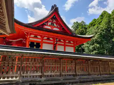 土佐神社の本殿・本堂