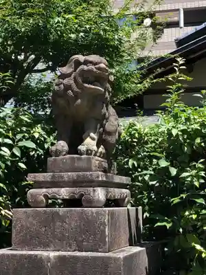 京都ゑびす神社の狛犬