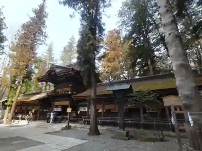 諏訪大社下社春宮(長野県)