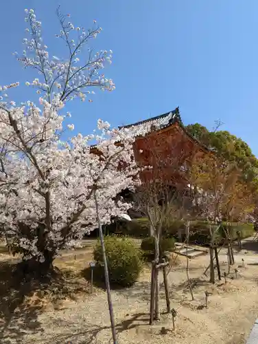 仁和寺(京都府)