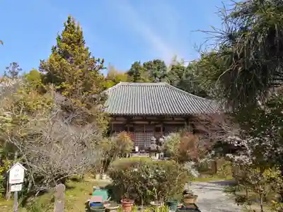 不退寺の本殿・本堂