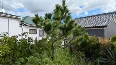 加麻土神社の自然