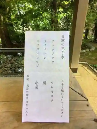 赤坂氷川神社(東京都)