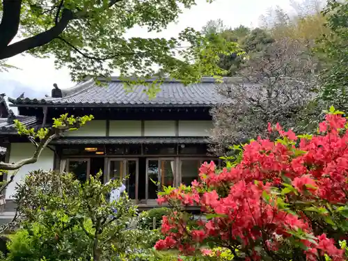 華厳寺（鈴虫寺）(京都府)