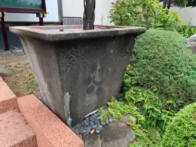 海隣寺の手水舎