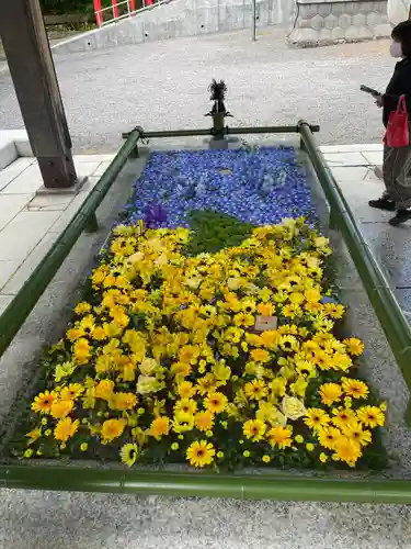 住吉神社の手水舎