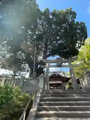 川島神社の鳥居