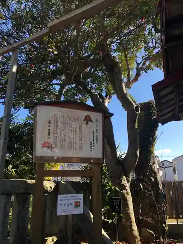 高尾山穂見神社の歴史