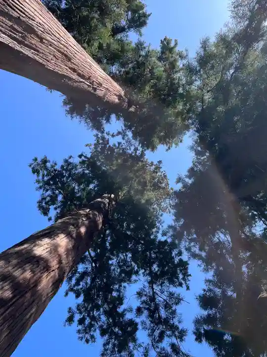 妙義神社(群馬県)
