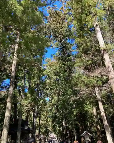 小國神社(静岡県)