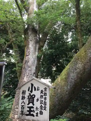 白峯神宮の歴史