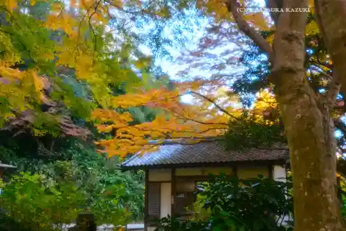明月院(神奈川県)