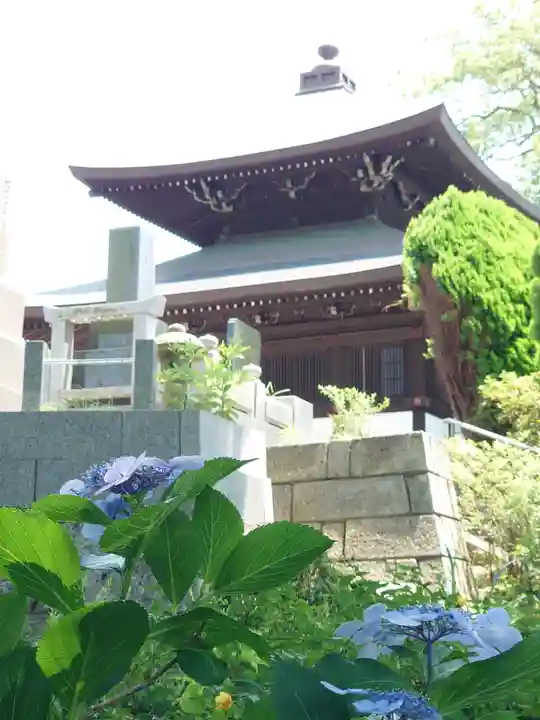 時宗総本山 遊行寺(正式:清浄光寺)(神奈川県)