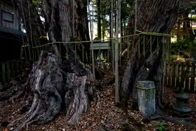 小室浅間神社(山梨県)