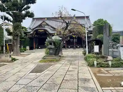 大圓寺(東京都)