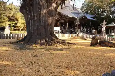 鑁阿寺(栃木県)