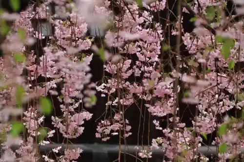 豊景神社の庭園