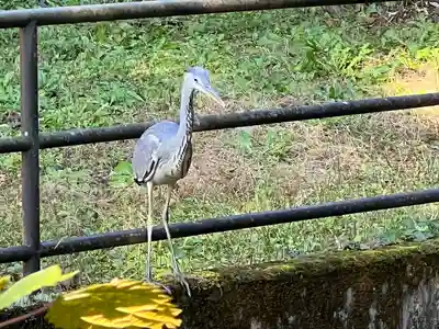 大谷寺(栃木県)