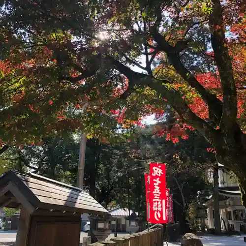 公智神社(兵庫県)