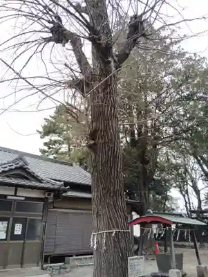 稲荷神社(群馬県)