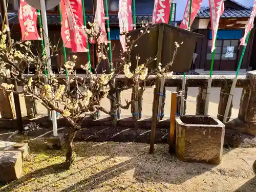 厳邑天満宮の自然