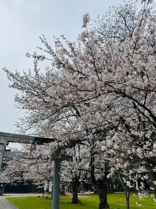 守りの神 藤基神社の鳥居